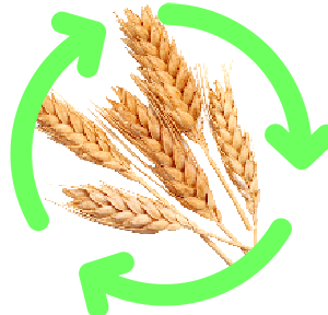 https://www.mybadges.com/wp-content/uploads/2021/04/wheat-grass-icon.png